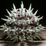 It blooms on the day ... #2, 2004, Ceramics, Plexiglas rods, 50x50x42 cm.
