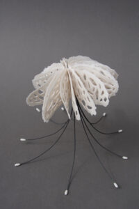 Medusa | Jenni Ward ceramic sculpture