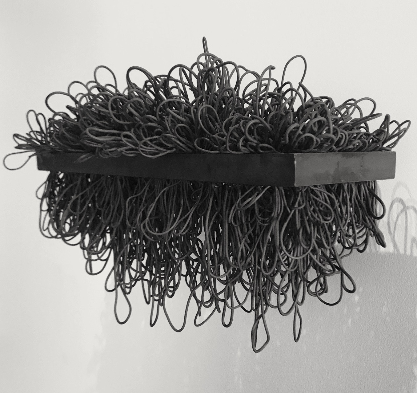 Tara Thacker