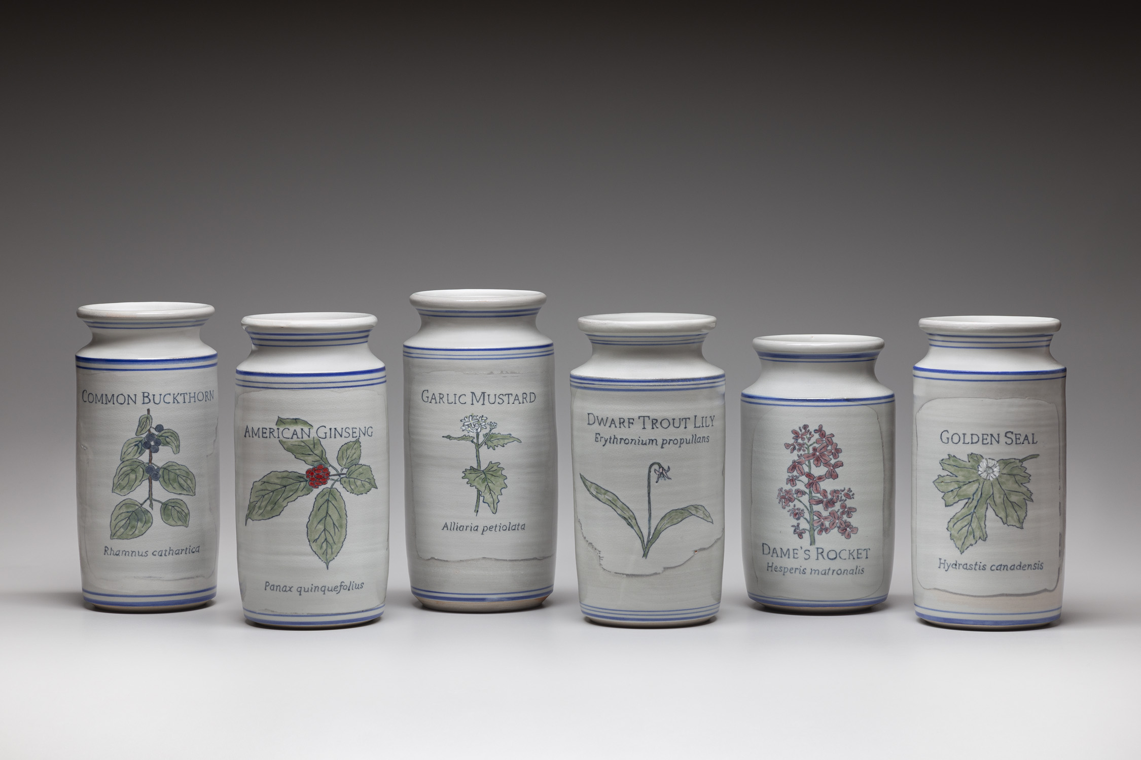 Apothecary jars by Juliane Shibata