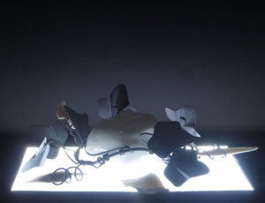 Anna Calluori Holcombe, ”Piante Lightbox III #3”