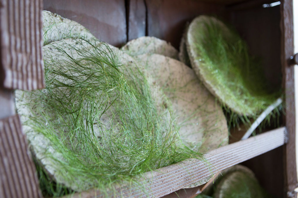 stoneware, porcelain, grass seed, steel, wood, 29” x 10” x 72”, 2017