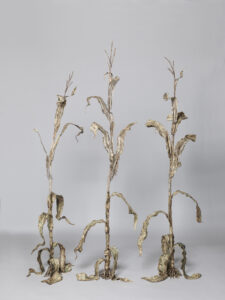 To feed and energize 8 billion people, agriculture has taken on the role of chief in today's economy. After sugar cane, maize is the second most widely grown crop in the world. The sculpture "Agreement. Energycorn" is made of earthenware, which is classically used for industrial tableware. To create the sculpture, whole corn plants were casted in around 20 different plaster moulds. Waste from industrial agriculture such as corn leaves, roots and stalks were used in the form of ash to create a glaze. During development, the maize plant takes in various elements. Fungicides, herbicides and insecticides also influence the chemical balance of the plants, which appear in ash glaze as brown, green, red impurities. The ceramic sculpture picks up on themes such as globalization and ecology.