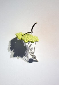Meg  Howton