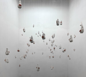 Kimberly Canfield