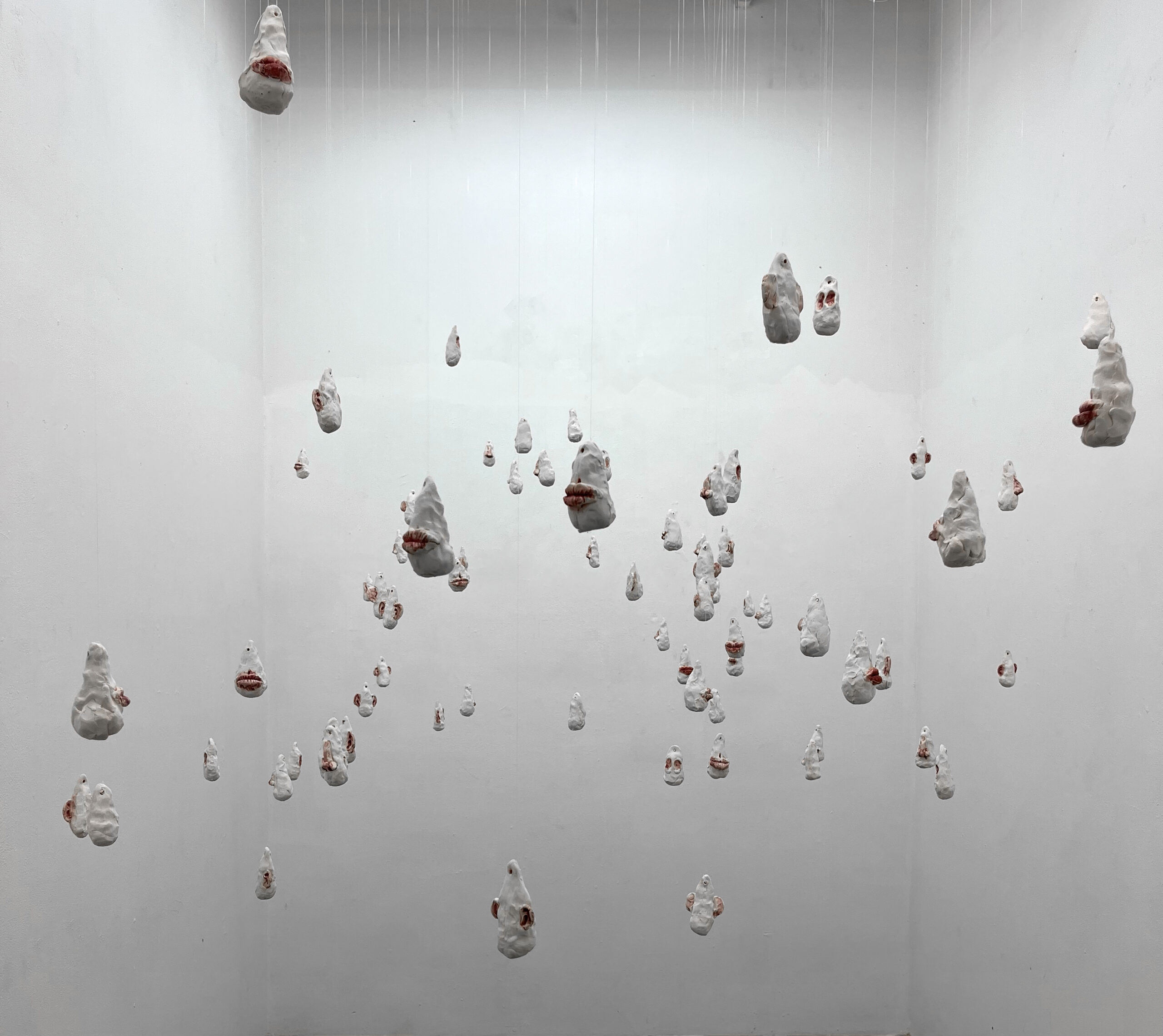 Kimberly Canfield