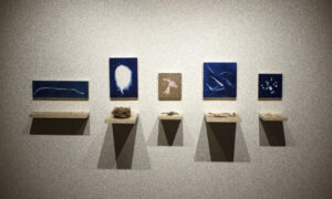 cyanotypes, poplar, and found remains