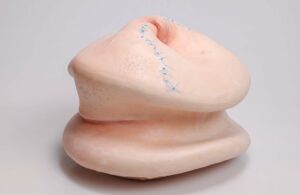 The surface of the form consists of pigmented silicone and medical sutures.