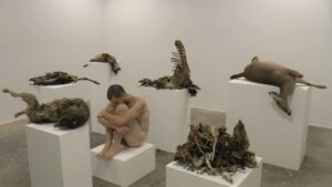 Video Still from a recorded performance where I spent three hours in a gallery filled with decomposing animals and recorded my interaction.