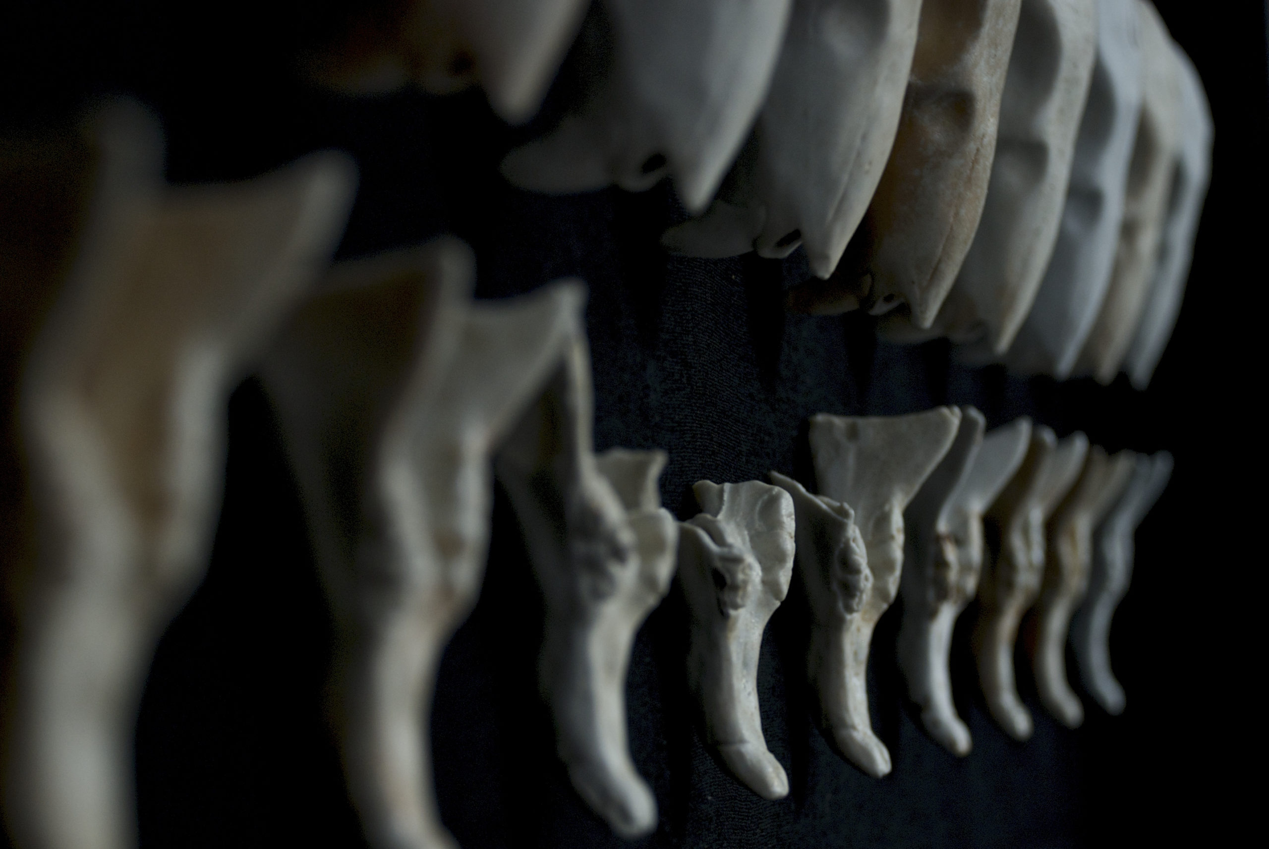 The 10th International Exhibition of Small Form Porcelain", Riga, Latvia (2015)