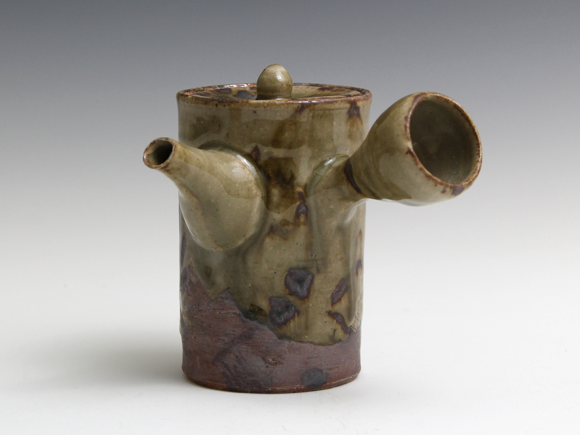 Received a Special Honor Award at the First World Ceramic Teapot Art Competition in Yixing, China in 2019