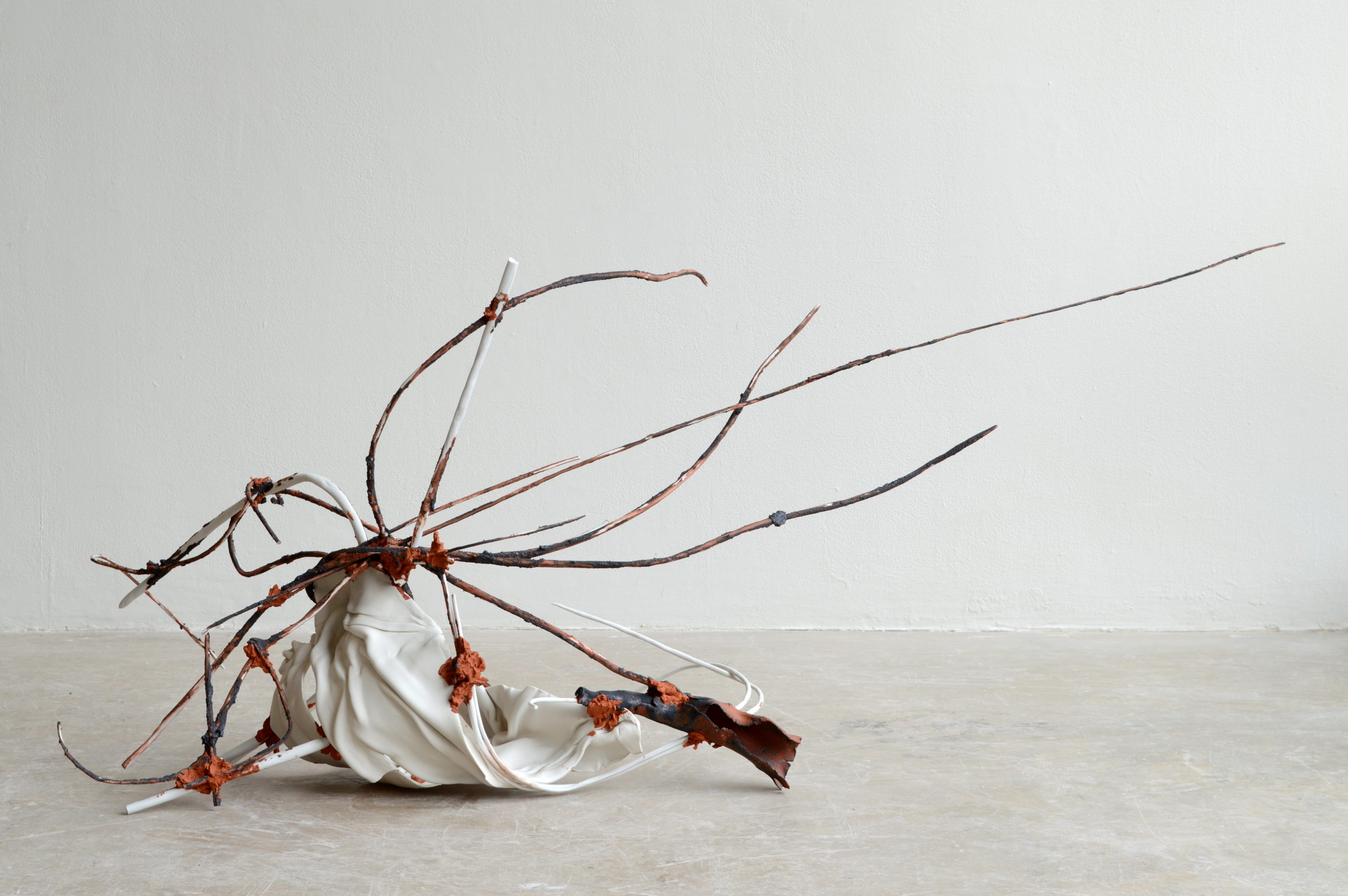 David Hollander