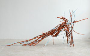 David Hollander