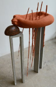 David Hollander