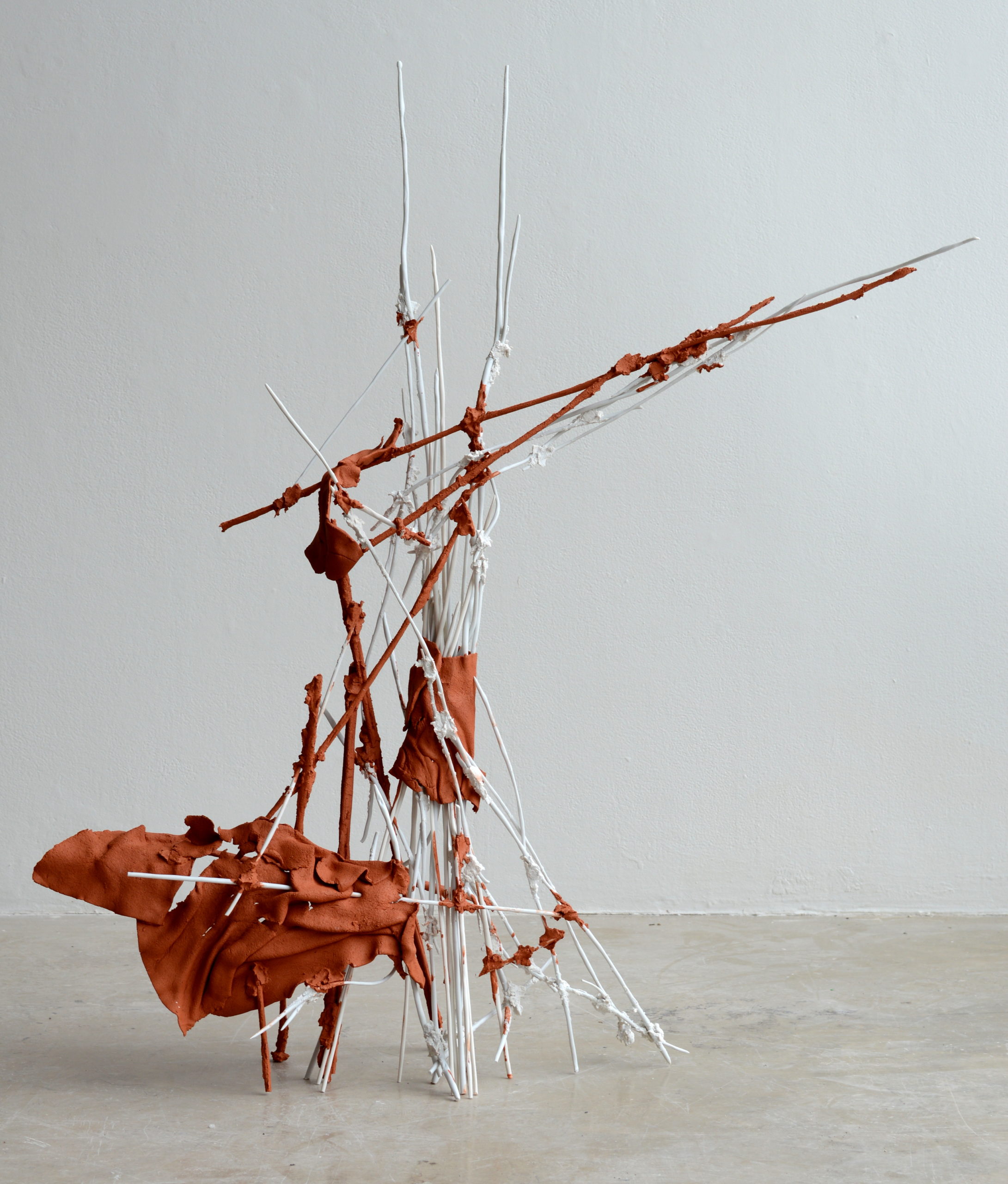 David Hollander