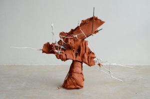 David Hollander