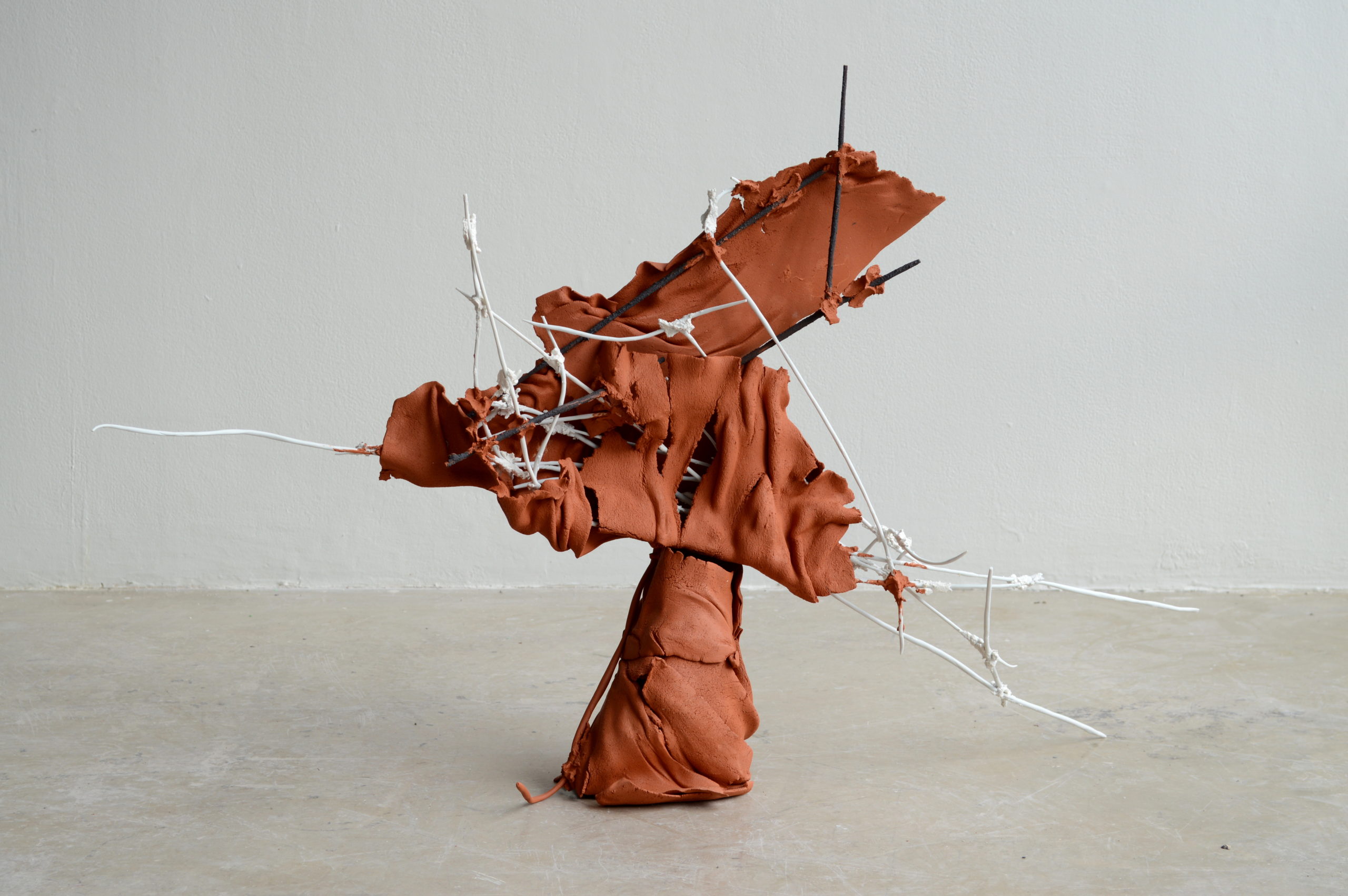 David Hollander