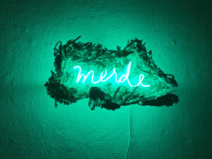 porcelain, neon, bone, resin, plexi: green neon text in French, surrounded by porcelain pieces, light soda fired slip-dipped small carnivore skulls and thistles (roadkill and weeds)