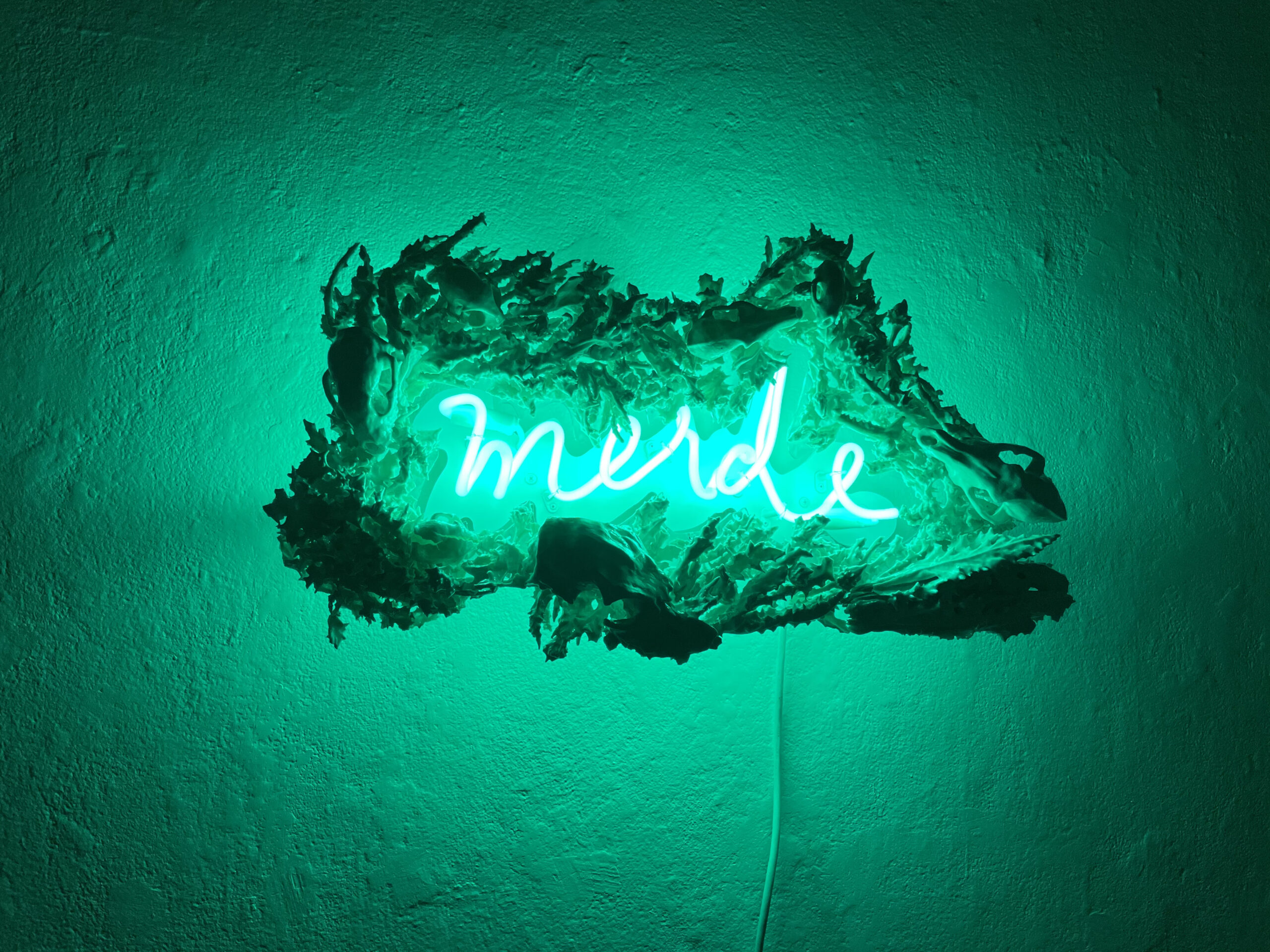 porcelain, neon, bone, resin, plexi: green neon text in French, surrounded by porcelain pieces, light soda fired slip-dipped small carnivore skulls and thistles (roadkill and weeds)