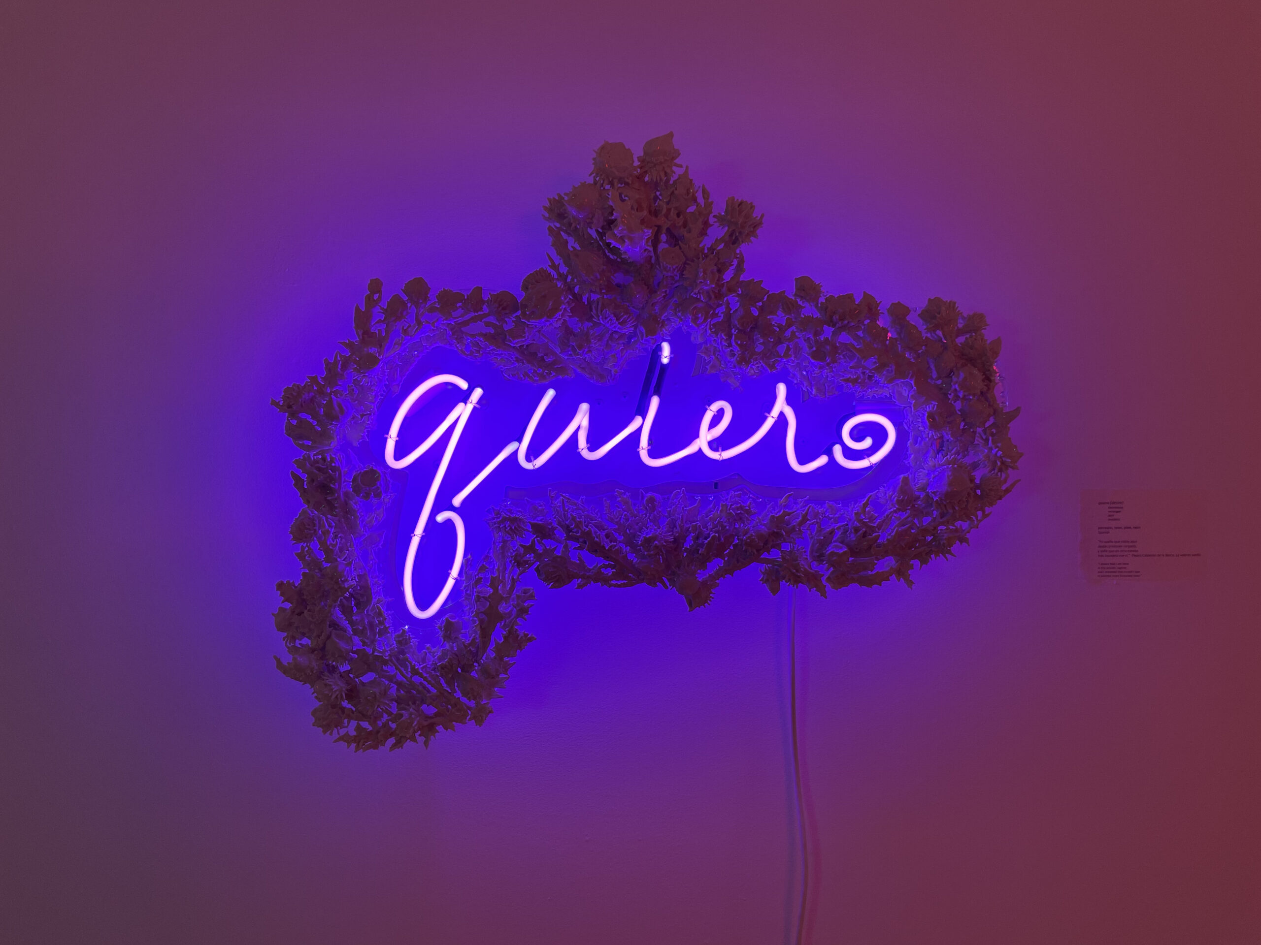 neon text