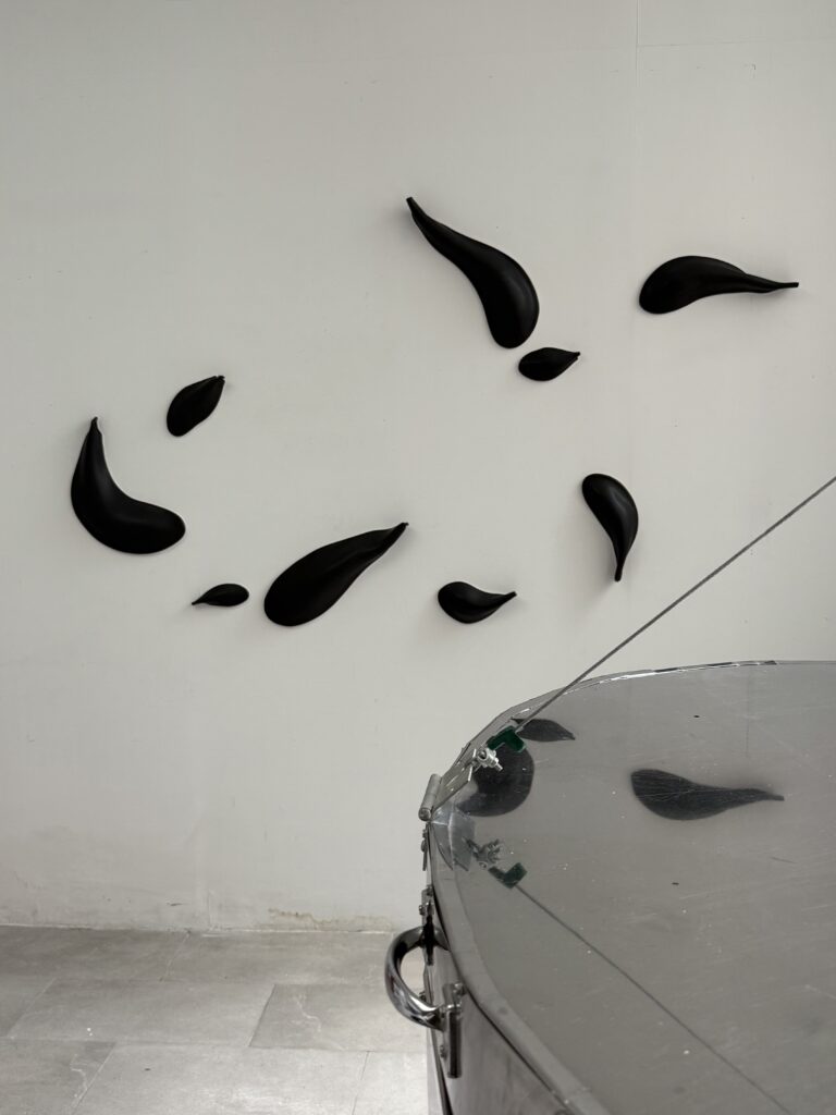 Angela Okajima Kempinas