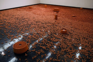 Thesis work installed in Focus Gallery at the University of Florida. All other images are of the same installation.