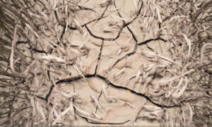 birds eye view of installation where porcelain grass are growing up from a bed of post consumer studio material. Looking closely, one might notice the faint track of a rattlesnake winding through the grass. As the material dries, large cracks pierce the surface, revealing layers of rainbow colors embedded in the layers.