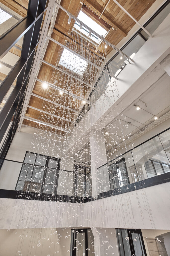 Jamie Bardsley Installation