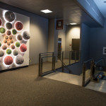 Mandala, (at Austin Bergstrom Airport, Austin, TX), Cone 6 Oxidation, Lights, 10’x10’x2’