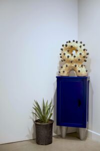 Additional materials: wood and blue agave plant