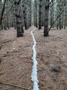 Intervention: Watershed