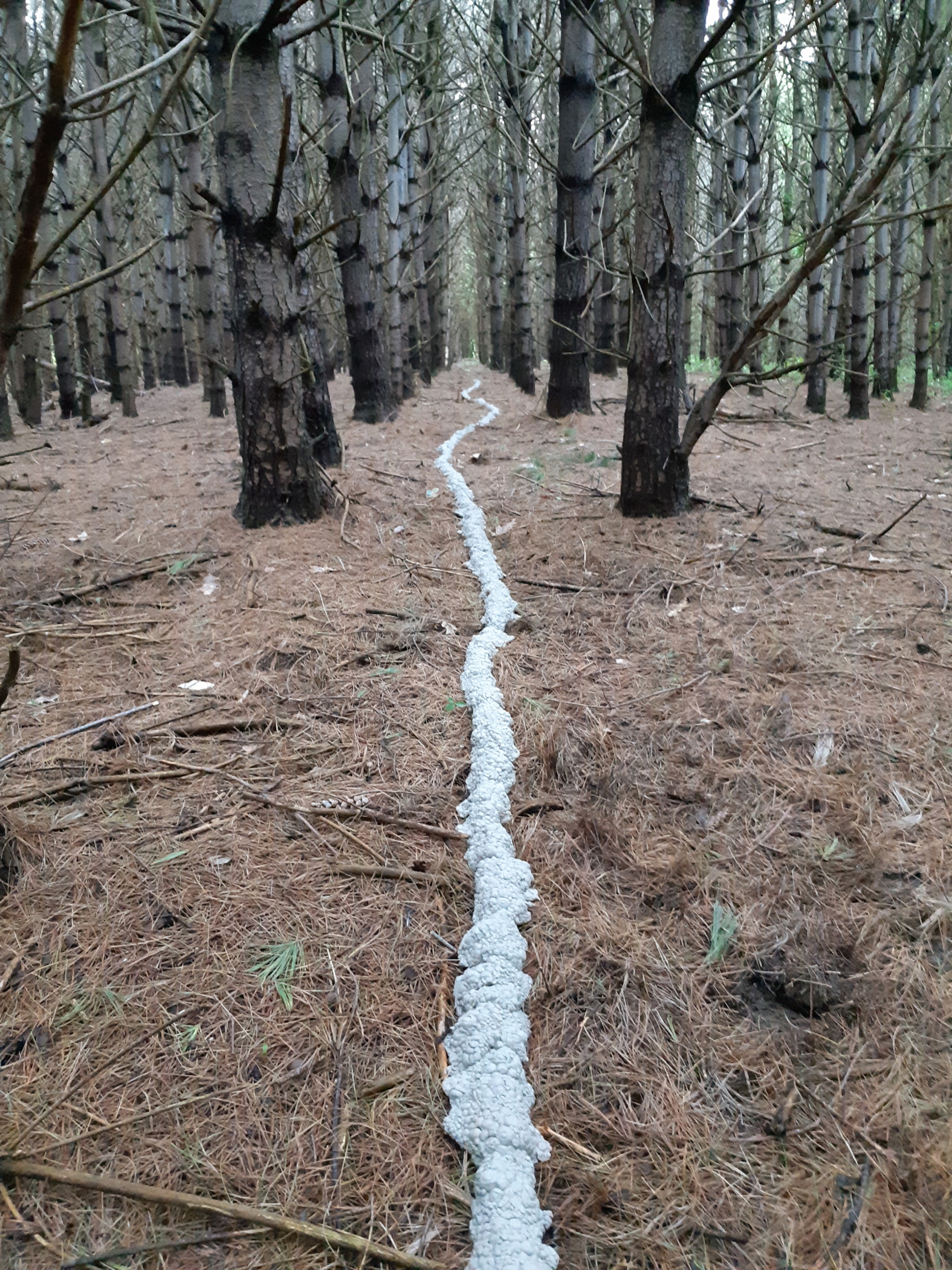 Intervention: Watershed