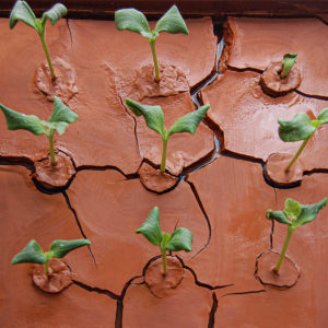The image is a fragment of an installation consisting of four boxes. Two boxes contain hand-painted overglaze stone elements.