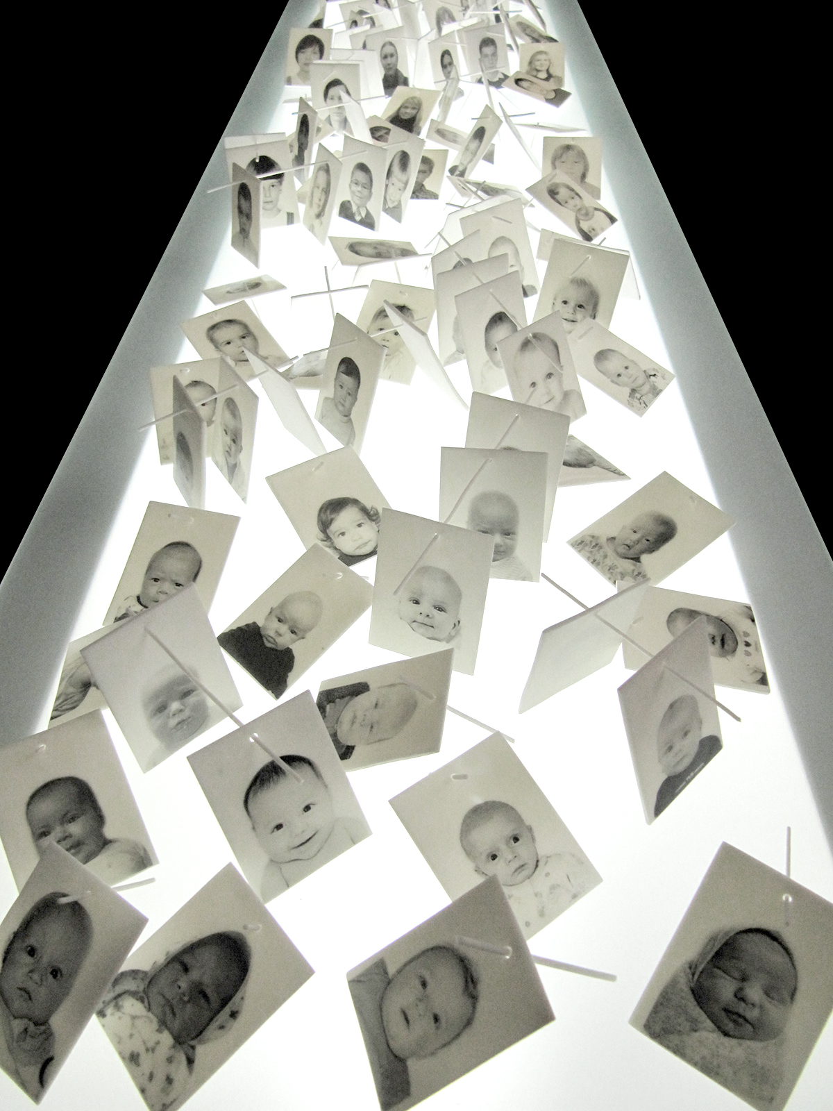 The image contains a fragment of the installation. The installation includes objects with mushrooms growing during the exhibition