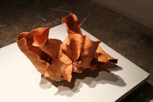 ARA KOH