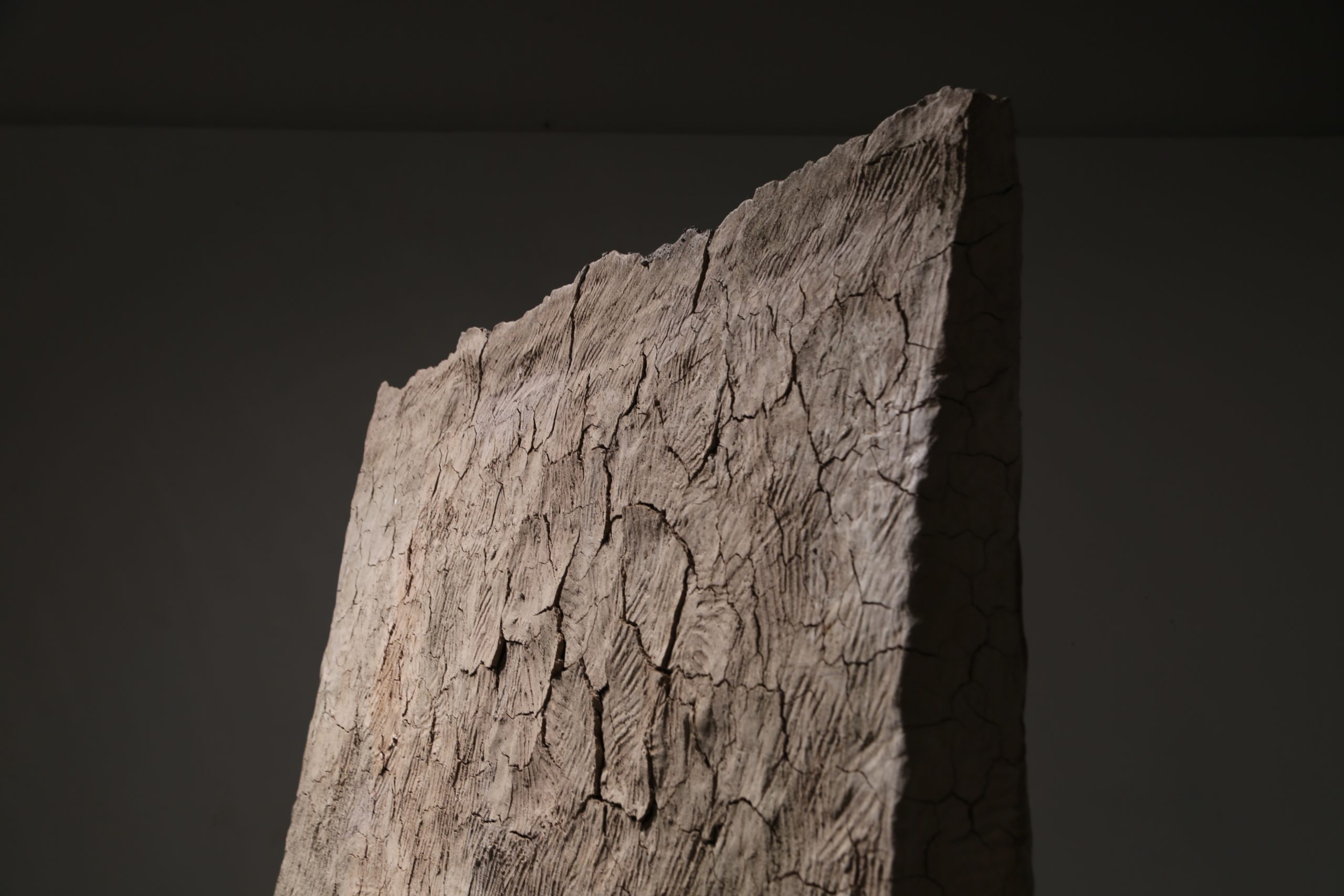 Ara Koh - Artaxis.org