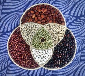 Seeds in the Legume (bean) Family from the Somos Semilla Seed Library on cotton canvas with agave fiber rope & cotton thread
