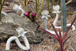 Installation of imagined mutant species by Juliane Shibata