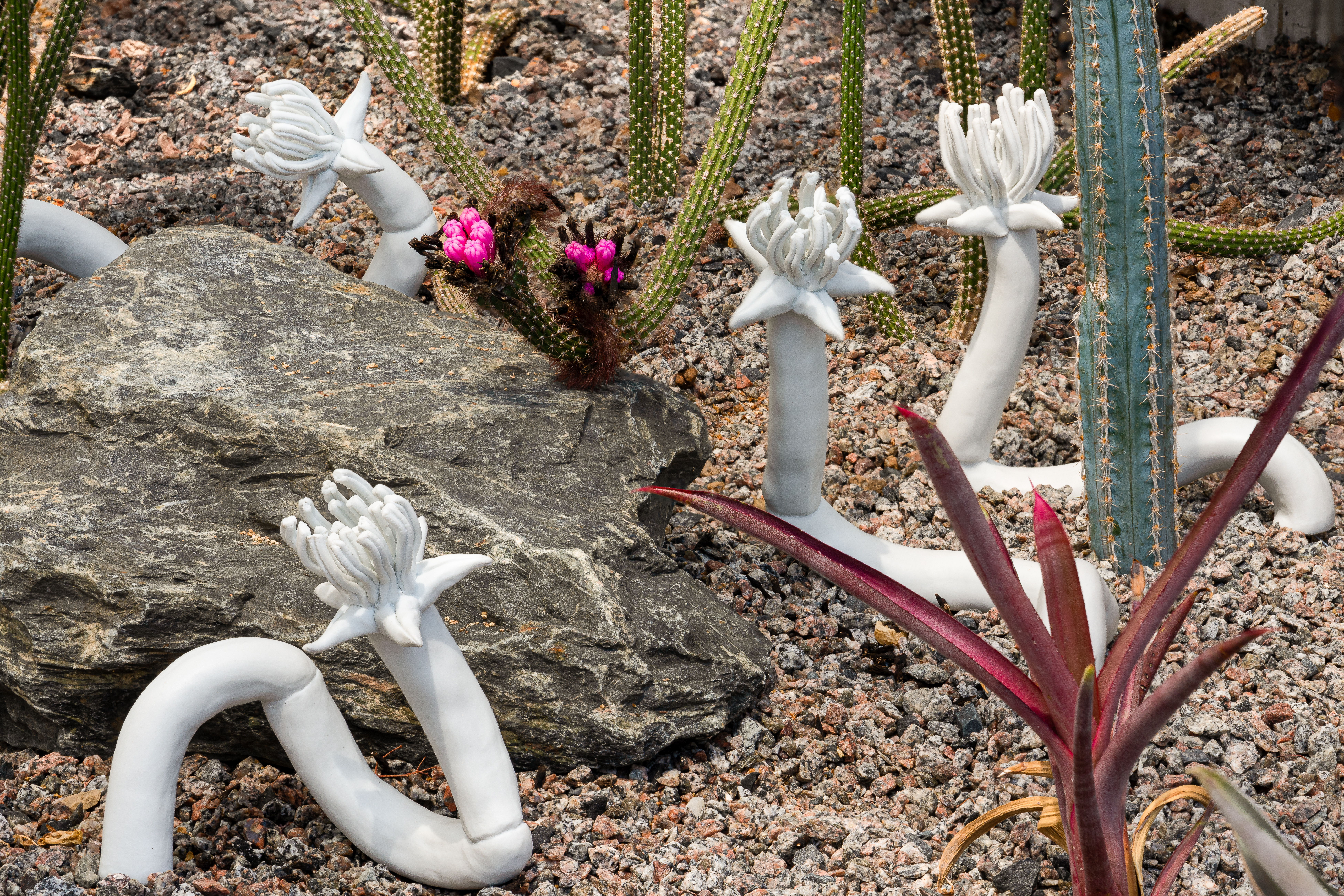 Installation of imagined mutant species by Juliane Shibata