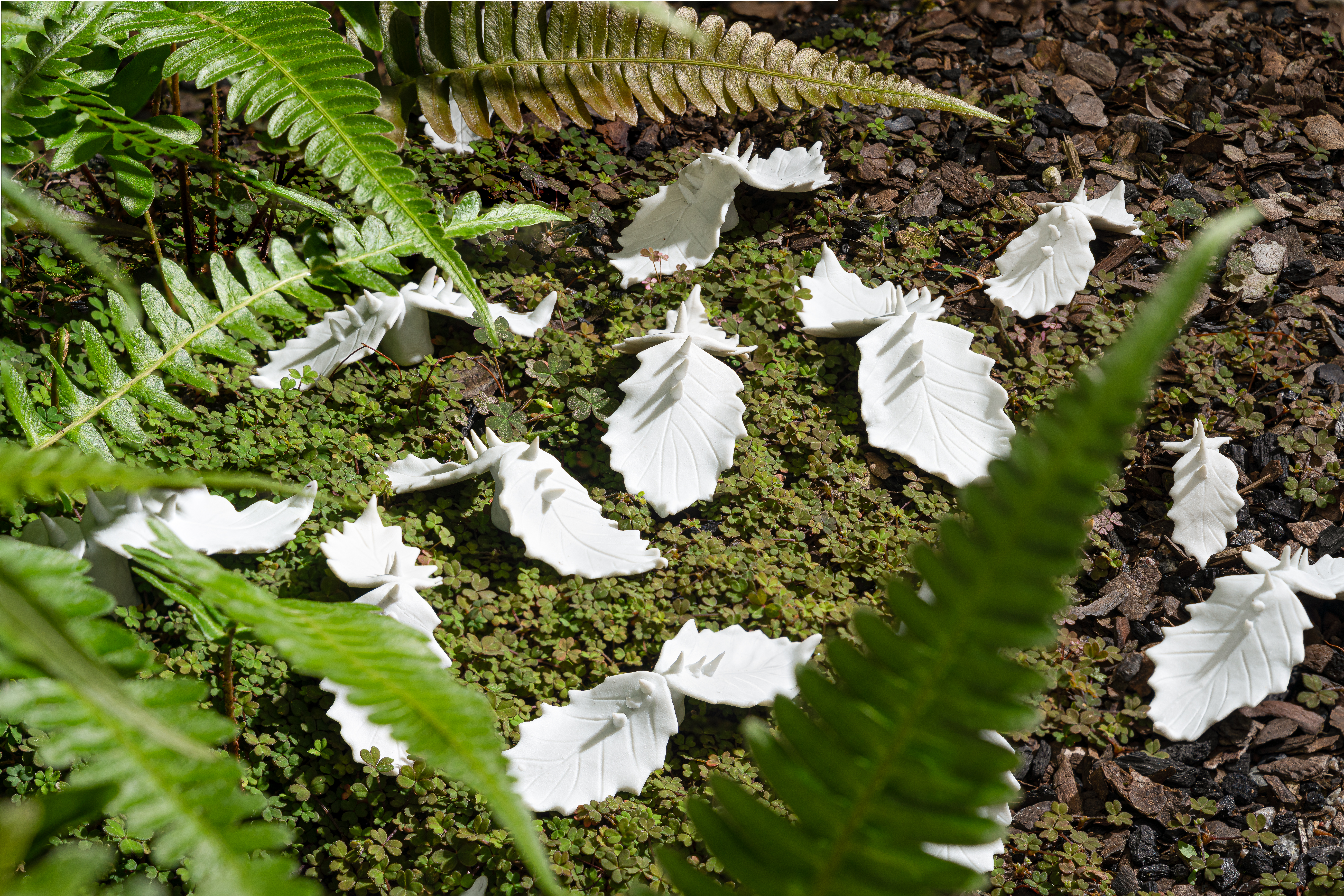 Juliane Shibata, detail of Mutations installation