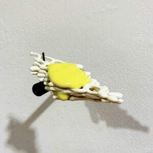 Josh  Van Stippen