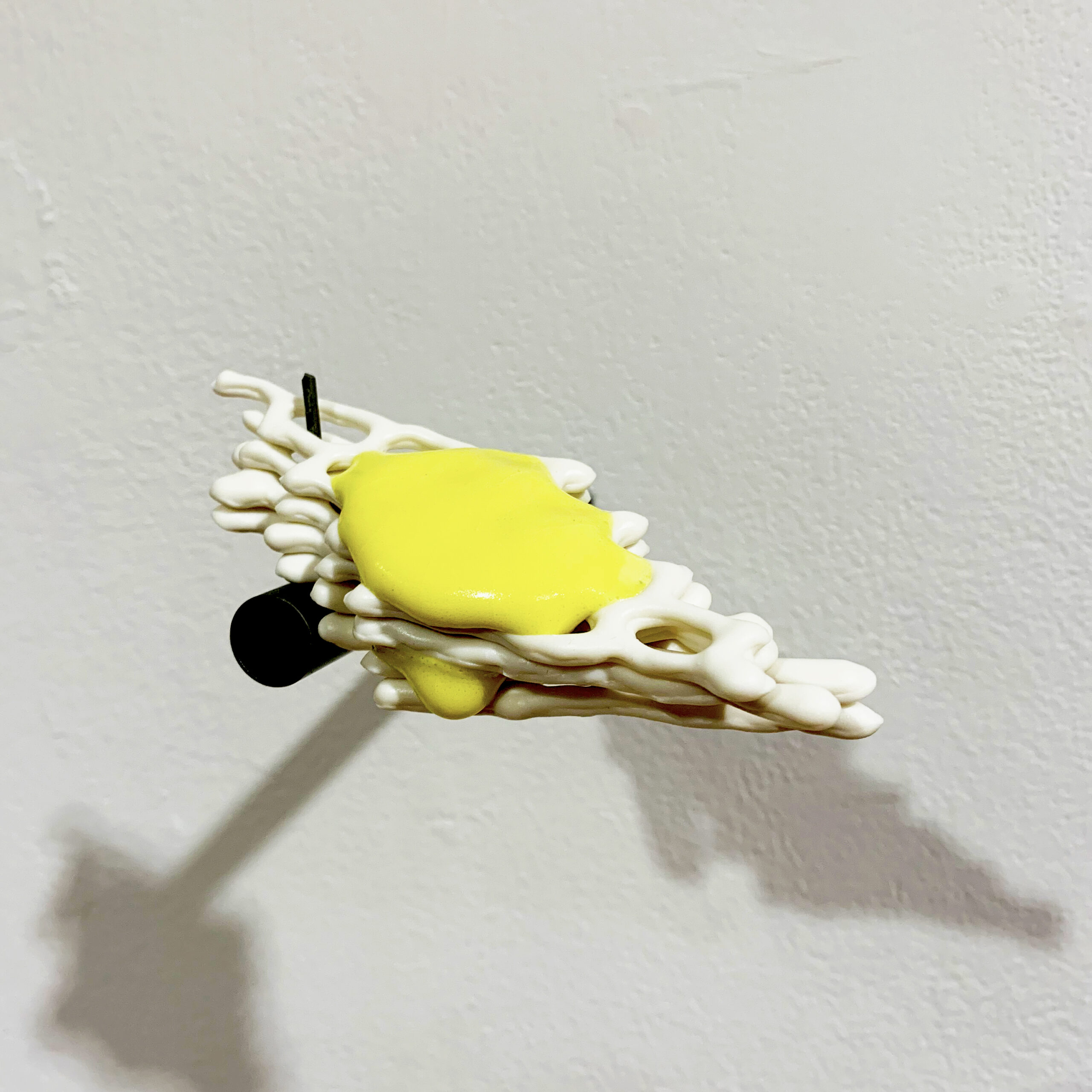 Josh  Van Stippen