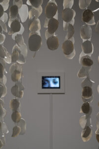 Detail shot showing the translucency, overlapping shadows and carbon trapping on Raining Petals as you look onto Crying and Laughing Eyes. The two works interact with one another as the video is installed at eye level. While walking through Raining Petals you make direct eye contact with the view. Image by Larry Gawel