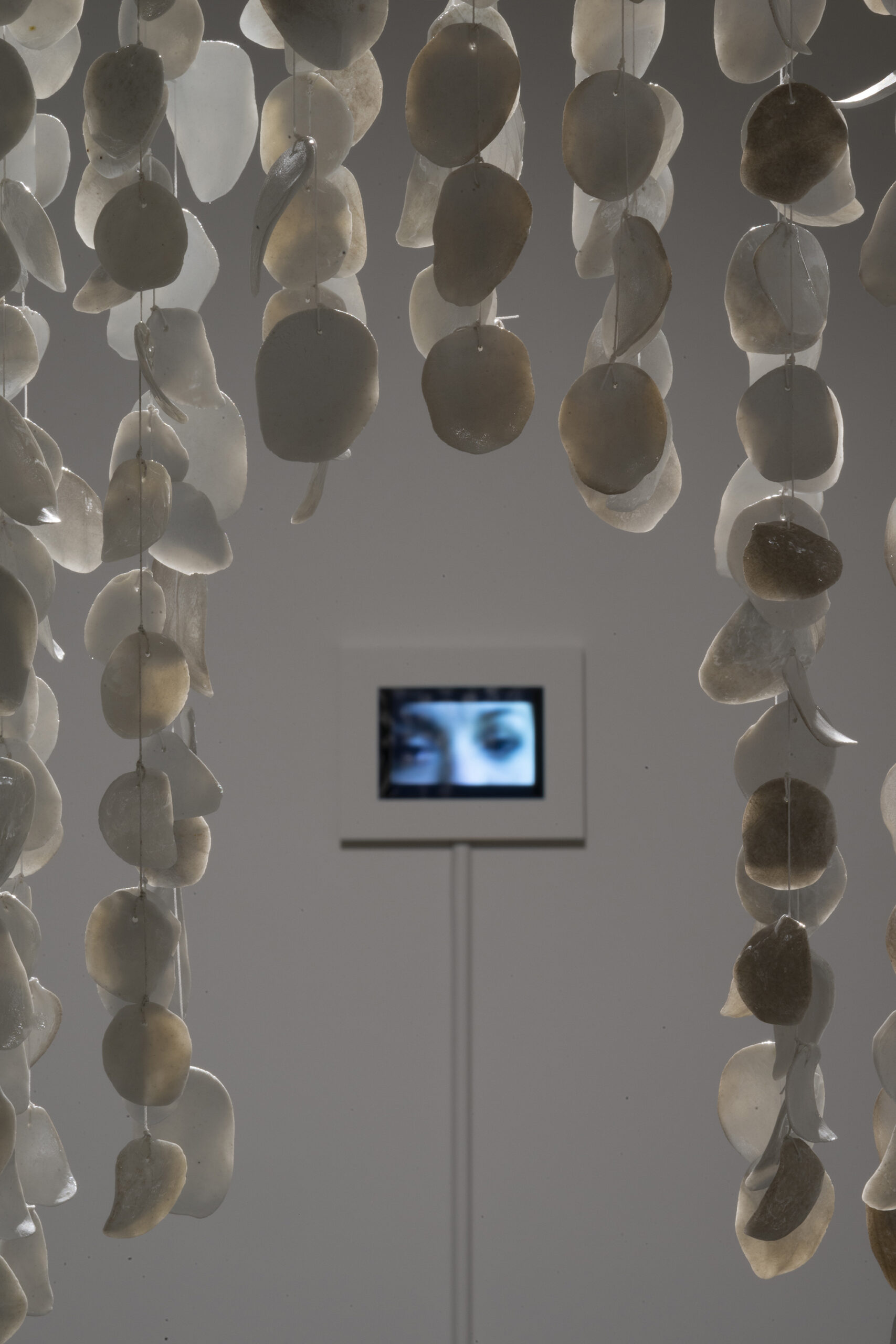 Detail shot showing the translucency, overlapping shadows and carbon trapping on Raining Petals as you look onto Crying and Laughing Eyes. The two works interact with one another as the video is installed at eye level. While walking through Raining Petals you make direct eye contact with the view. Image by Larry Gawel