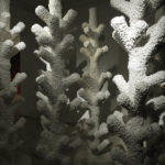 240x65cm, paperclay, paperporcelain