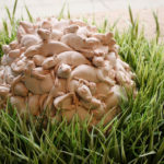 2017, porcelain, paint, artificial grass, sand, 12”H (installation dimensions variable)