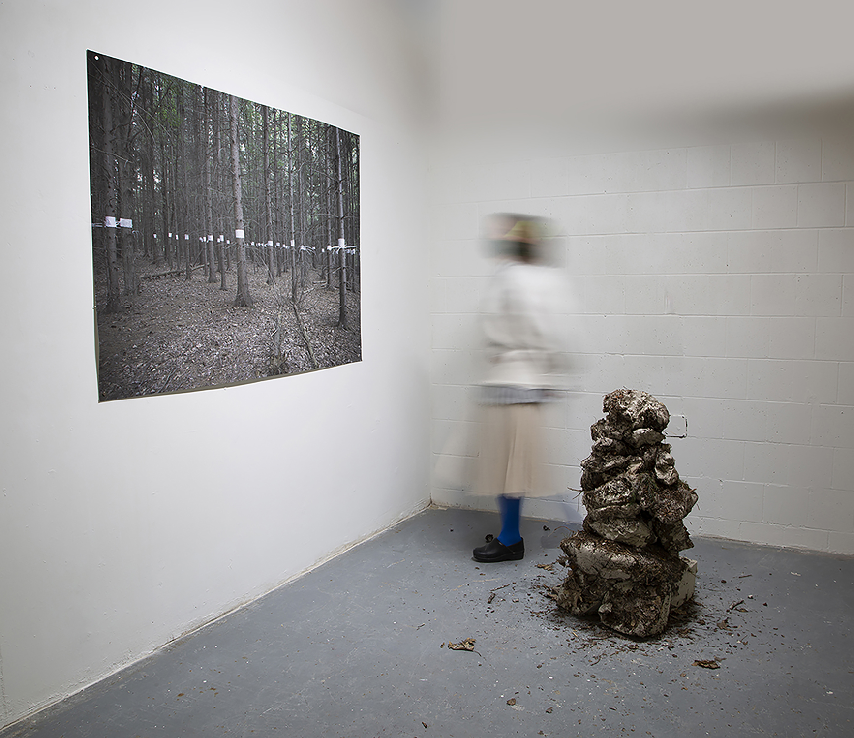 inkjet print on watercolor paper, kaolin, porcelain aged in the forest for 1 month.