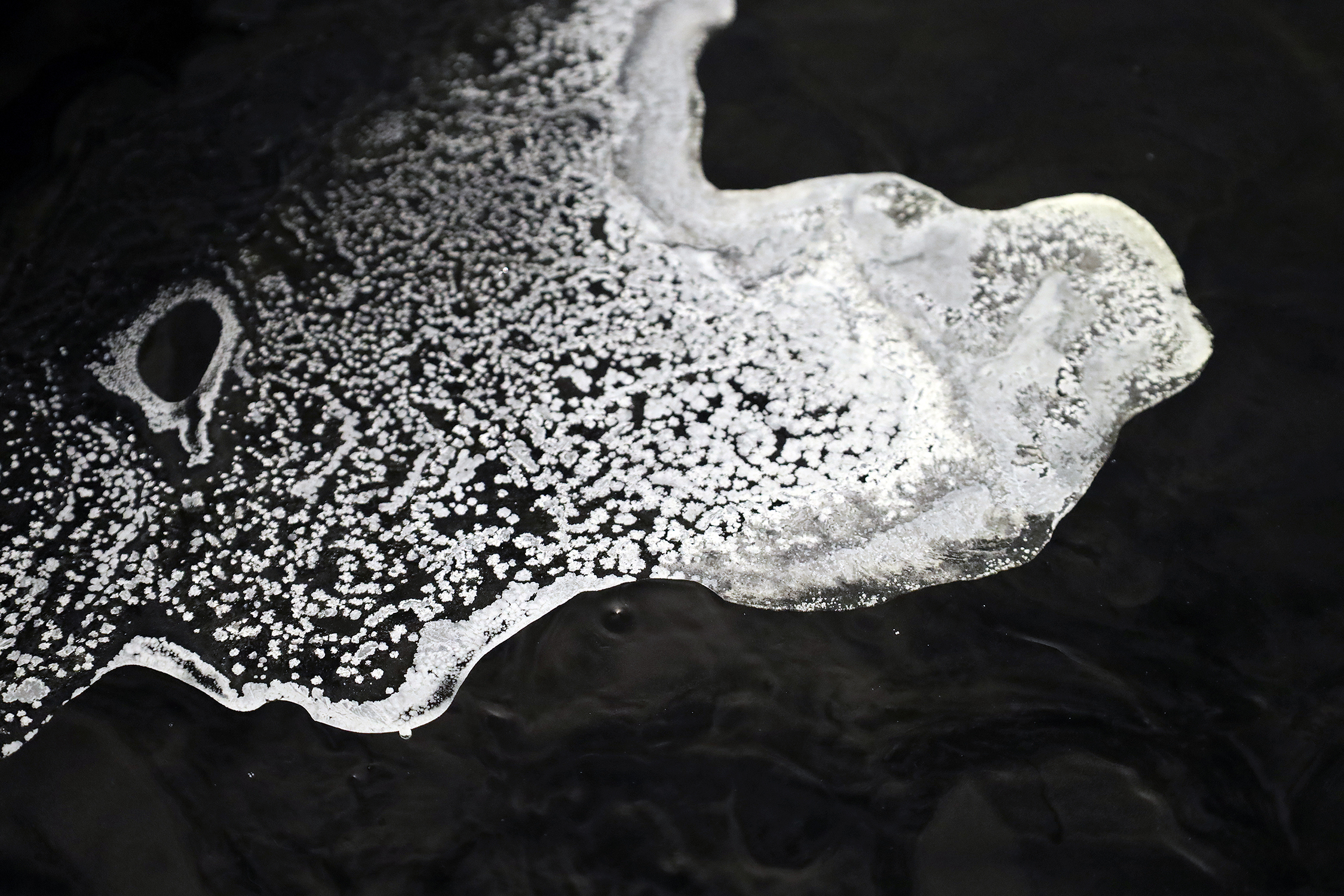 inkjet print on watercolor paper mounted on aluminum, food-grade salt, beeswax, water, soda ash. 
The crystallization process happens over a period of 4 days.