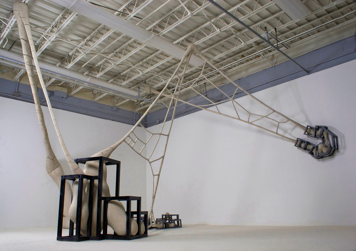 David Katz •