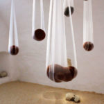 Kristina Rutar, “On the Origin of Species"